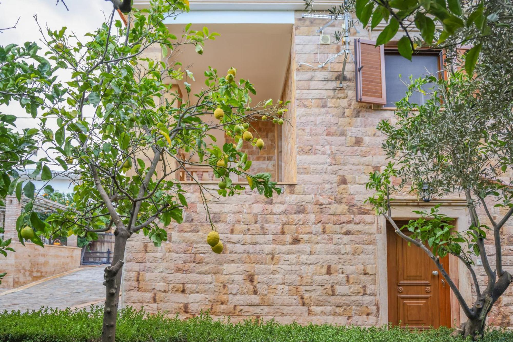 Archontiko Frideriki Luxury Apartments Chios Town Exterior foto